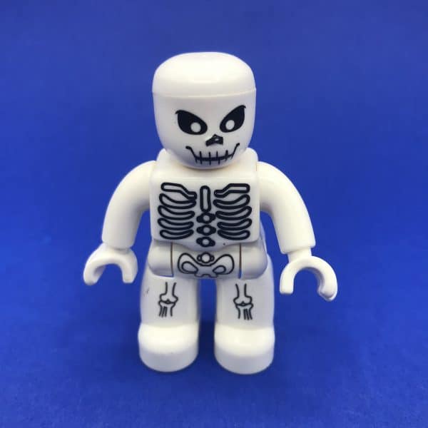 Duplo-skelet