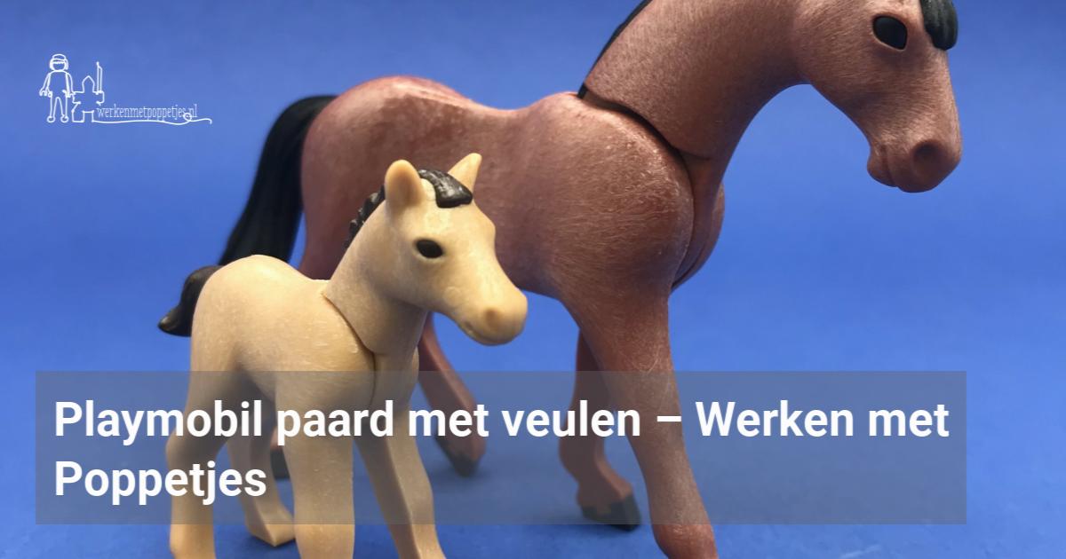 Playmobil Paard Met Veulen Werken Met Poppetjes